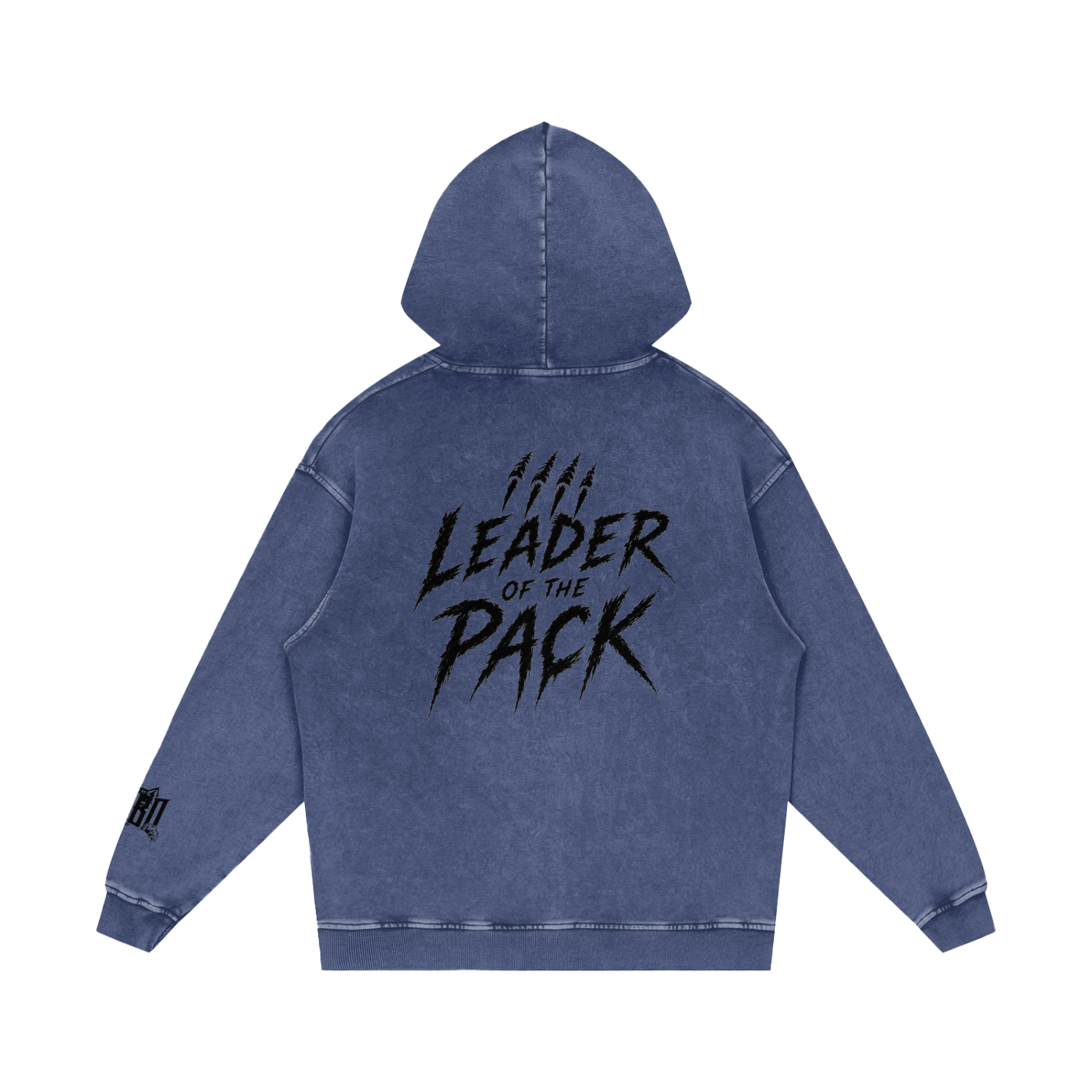 Snow Washed Hoodie