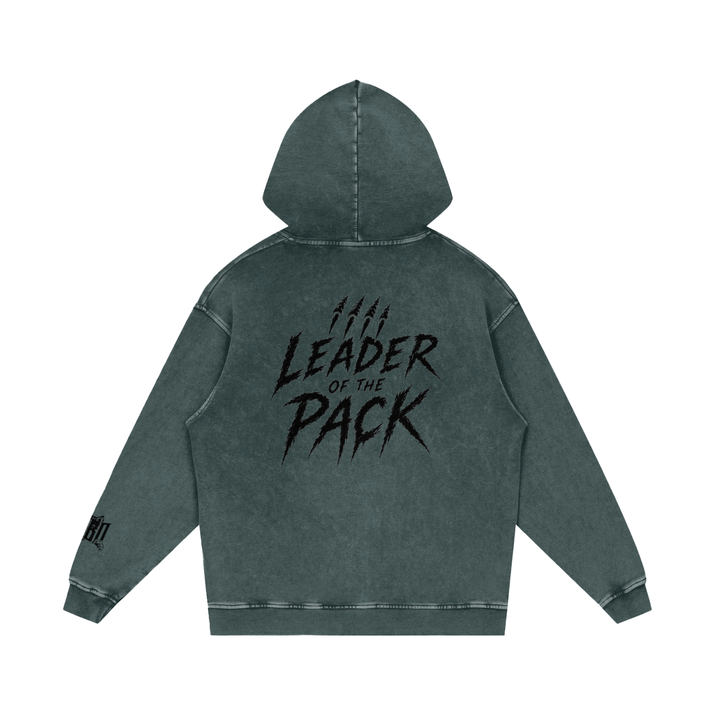 Snow Washed Hoodie